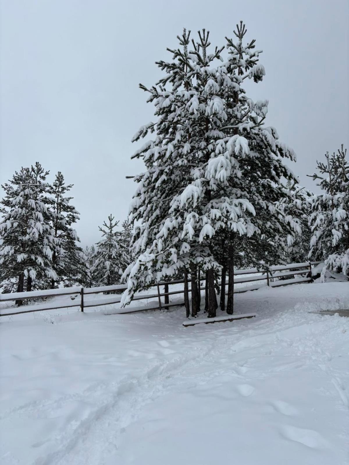 Zabljak_Vikendica Extérieur photo
